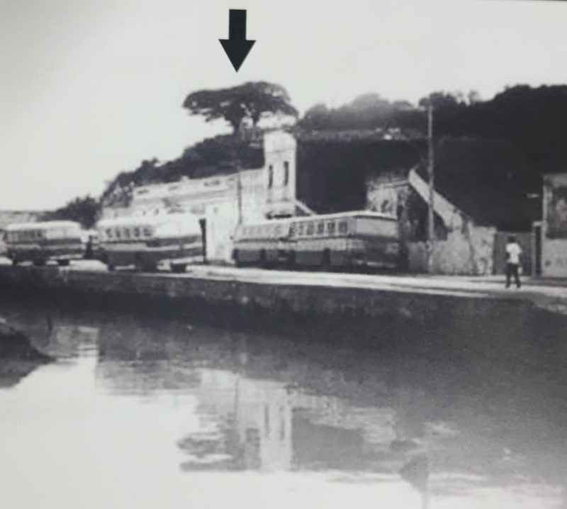 Memória, Figueirense, Figueira, Florianópolis – Foto: Casa da Memória/reprodução Crisitiano Andujar/ND