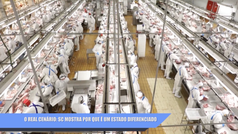 Linha de produção de carne suína, um dos principais produtos para exportação, no Oeste de Santa Catarina. – Foto: Reprodução/NDTV