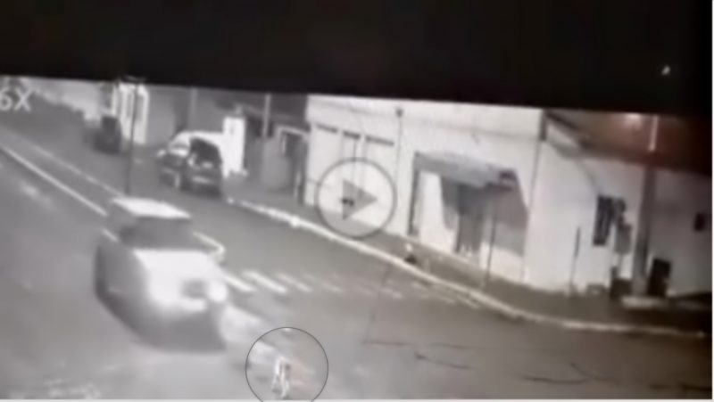 Caso &eacute; investigado pela Pol&iacute;cia Civil – Foto: Reprodu&ccedil;&atilde;o/ND