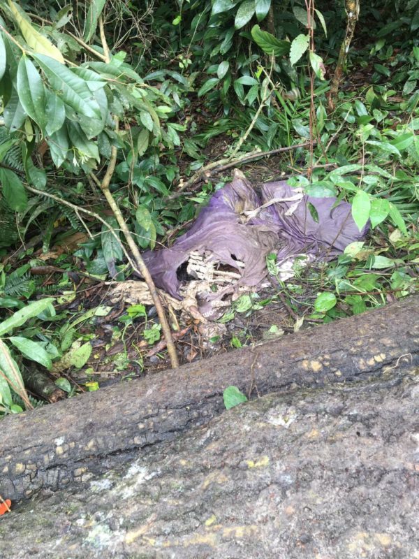 Ossada misteriosa foi encontrada no bairro Paulas – Foto: Cardoso Notícias