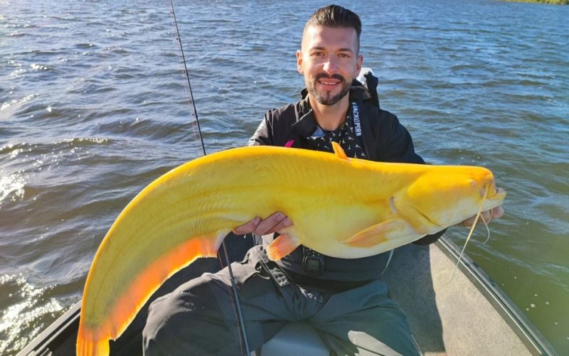 Pescador captura raro bagre amarelo que pode chegar a tr&ecirc;s metros – Foto: Reprodu&ccedil;&atilde;o/Instagram/team_fishingbrothers