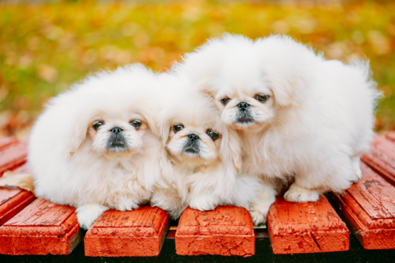 Foto: Divulga&ccedil;&atilde;o