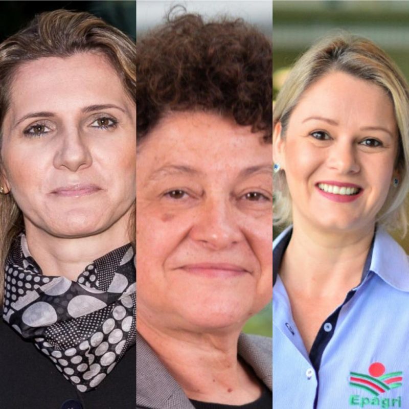 Tr&ecirc;s catarinenses s&atilde;o eleitas entre as 100 brasileiras poderosas do agroneg&oacute;cio: T&acirc;nia Zanela, Joanita Maestri e Edilene Steinwandter – Foto: Divulga&ccedil;&atilde;o/Divulga&ccedil;&atilde;o/Aires Mariga/Epagri/Arte ND