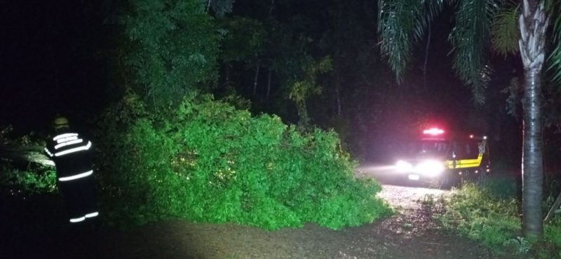 Bombeiros cortaram árvores que impediam tráfego nas estradas em Seara, Oeste catarinense &#8211; Foto: Divulgação/ND
