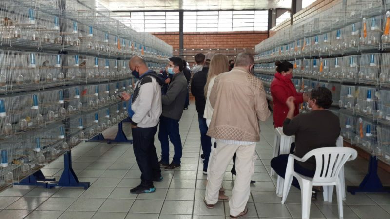 Evento inicia neste s&aacute;bado (9). – Foto: SOCO/Divulga&ccedil;&atilde;o/ND