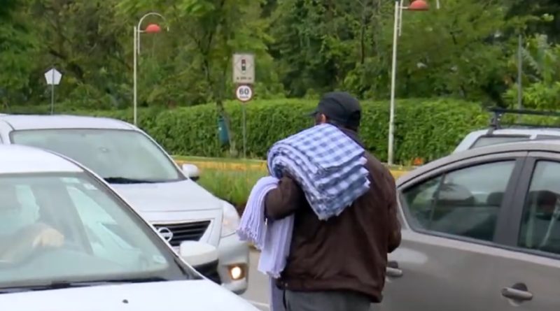 Mutirão já expediu 75 licenças