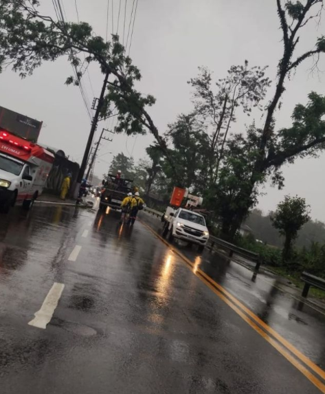 Trecho da estrada que foi bloqueada devido à queda de árvore em Santo Amaro da Imperatriz &#8211; Foto: Pista Limpa/Divulgação/ND