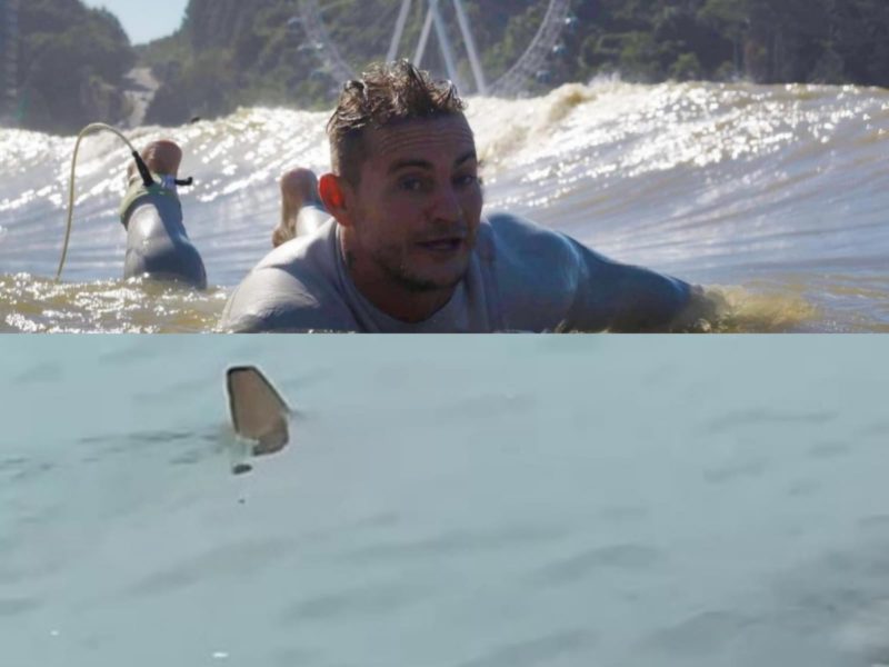 Só em 2021 esta é a segunda vez que tubarão aparece na praia Central de Balneário Camboriú – Foto: Reprodução/Internet