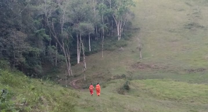 Bombeiros buscam vaca que ficou atolada em córrego em Ibirama &#8211; Foto: Divulgação/Corpo de Bombeiros Voluntários de Ibirama