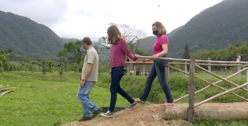 Vale das Pitaias recebe visitantes em Joinville – Foto: Reprodu&ccedil;&atilde;o/NDTV