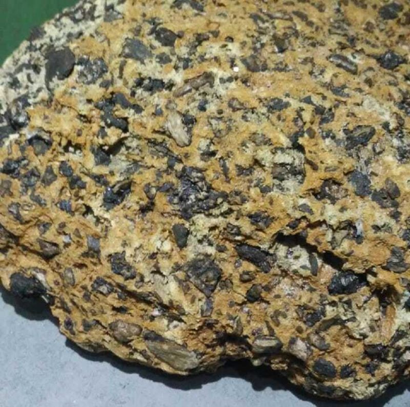 Garçom de Imbituba afirma ter encontrado “vômito de baleia” na praia de Itapirubá – Foto: Arquivo Pessoal/ND