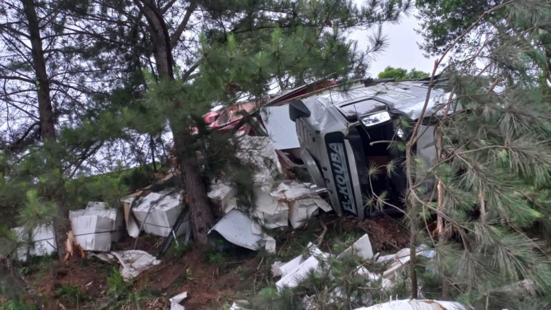 Ap&oacute;s tombar, carreta ficou presa entre as &aacute;rvores &agrave;s margens da rodovia – Foto: Bombeiros Militares/Divulga&ccedil;&atilde;o