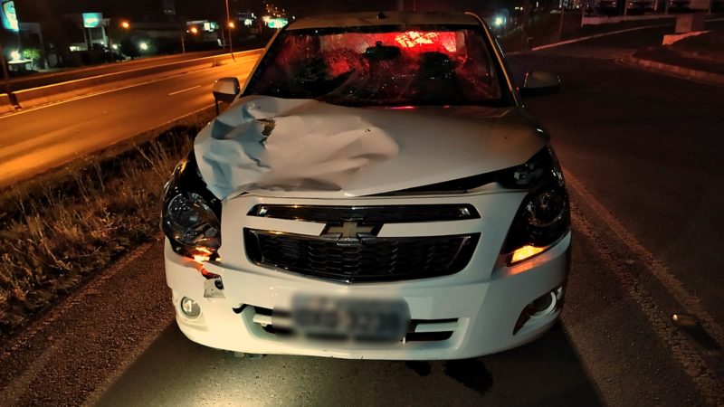 PRF fez o laudo do acidente de tr&acirc;nsito – Foto: PRF/Divulga&ccedil;&atilde;o/ND