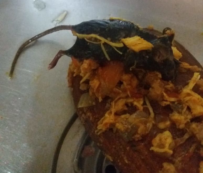 Mulher encontrou o rato quando fazia o molho para uma lasanha.