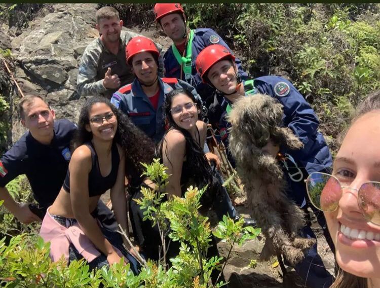 Tr&ecirc;s amigas faziam a trilha, quando encontraram o cachorro machucado e chamaram o Corpo de Bombeiros – Foto: Corpo de Bombeiros/Divulga&ccedil;&atilde;o