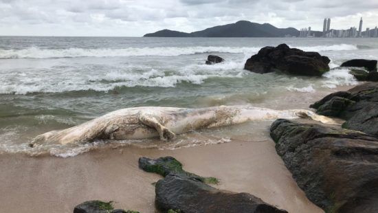 Bombinhas, no litoral de SC, cobrará taxa para entrar na cidade -  09/09/2014 - UOL Notícias