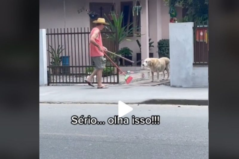 Cachorro de Joinville viralizou ao ajudar o tutor no quintal – Foto: Reprodu&ccedil;&atilde;o/Internet