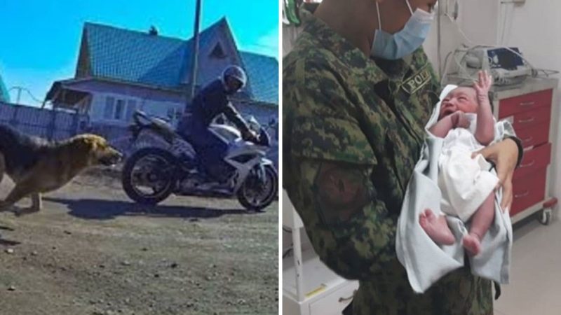 Motociclista seguiu o cachorro e encontrou beb&ecirc; rec&eacute;m-nascido em lix&atilde;o – Foto: Reprodu&ccedil;&atilde;o/Instagram