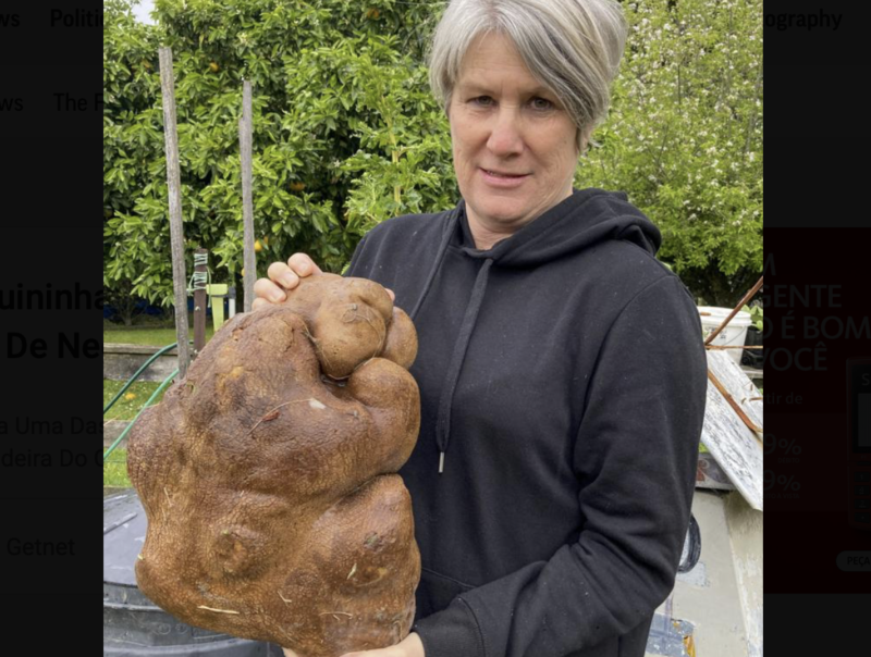 Agricultores colhem maior batata do mundo 'Parece que ela está pensando' ND Mais Agricultores colhem maior batata do mundo 'Parece que ela está pensando' ND Mais