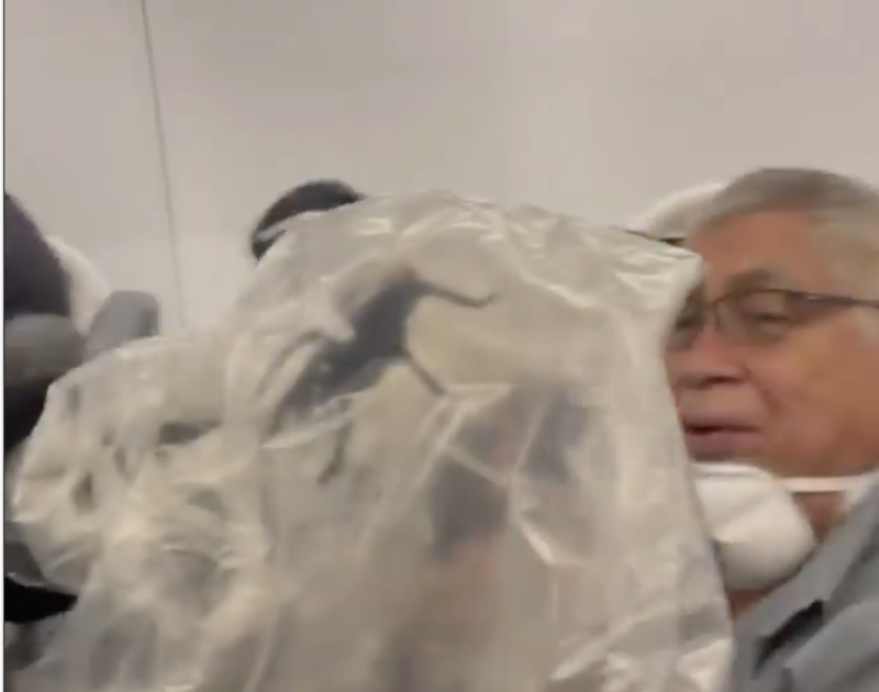 Passageiro capturou a tar&acirc;ntula durante voo – Foto: Reprodu&ccedil;&atilde;o