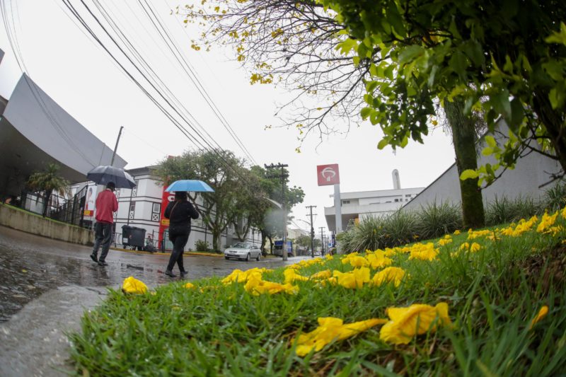 Vendas de Natal devem crescer neste ano em Joinville