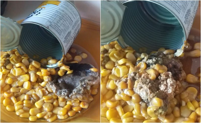 Dona de casa acha corpo estranho em lata de milho em SC – Foto: Arquivo pessoal/ND