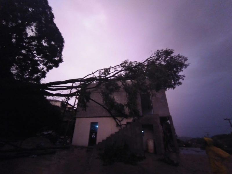 Uma árvore caiu sobre uma casa na linha Santo Antônio &#8211; Foto: Corpo de Bombeiros/ND
