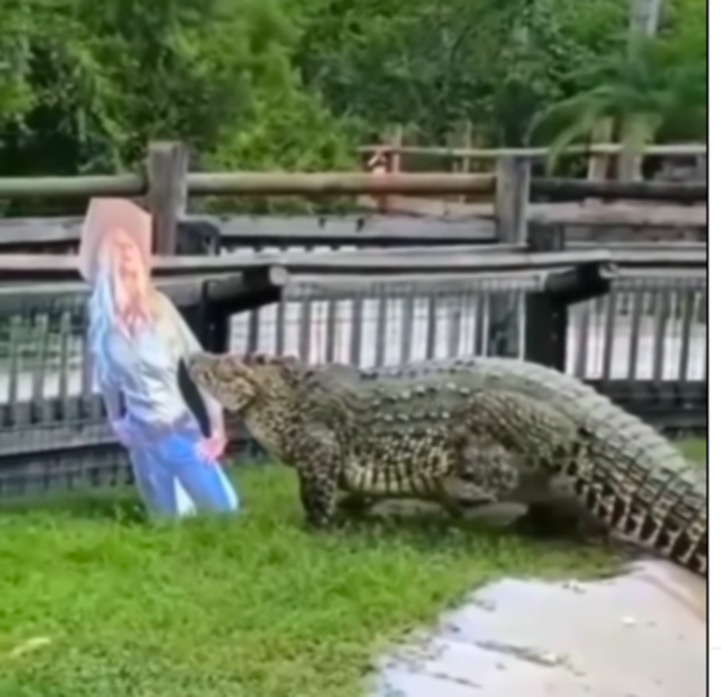 Crocodilo ataca imagem de mulher de forma brutal – Foto: Reprodu&ccedil;&atilde;o/Internet