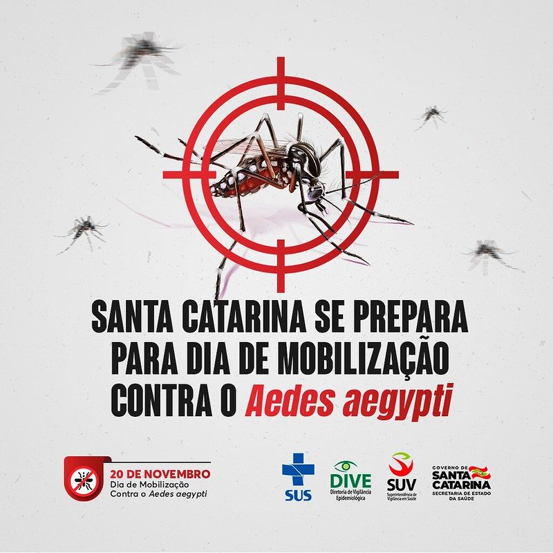 Dia de mobiliza&ccedil;&atilde;o est&aacute; programa para 20 de novembro – Foto: Foto – DIVE/ SC / Divulga&ccedil;&atilde;o ND