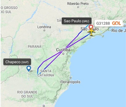 Aeronave com o time goiano retornou para São Paulo &#8211; Foto: Divulgação/ND