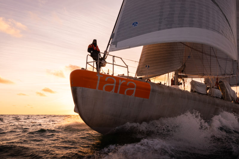 Embarca&ccedil;&otilde;es da funda&ccedil;&atilde;o francesa Tara Oc&eacute;an ficar&atilde;o em Itaja&iacute; at&eacute; sexta-feira (19) – Foto: Eloi Stichelbaut/Funda&ccedil;&atilde;o Tara Oc&eacute;an