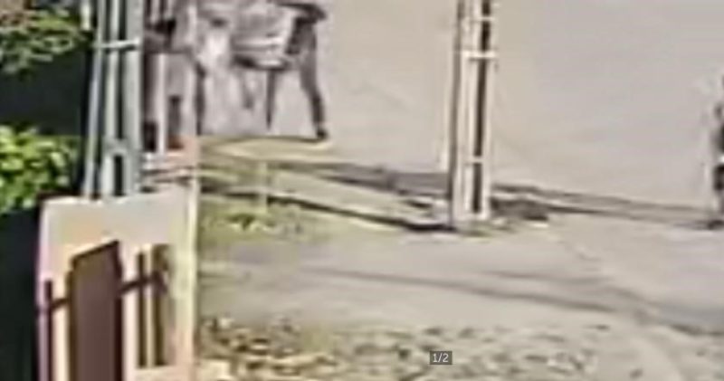 Suspeito de matar Barbra segue solto – Foto: Internet/Reprodu&ccedil;&atilde;o/ND