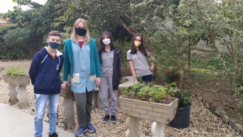 Com a volta presencial na escola, o espa&ccedil;o Agrofloresta tornou-se tamb&eacute;m a nova sala de aula – Foto: Taciani Elaine de Oliveira/Divulga&ccedil;&atilde;o/Its Teens