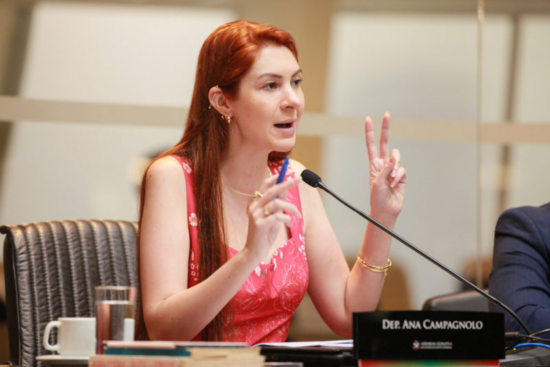 Ana Campagnolo, do PL, está propondo uma CPI na Assembleia Legislativa  &#8211; Foto: Vicente Schmitt/Divulgação/ND