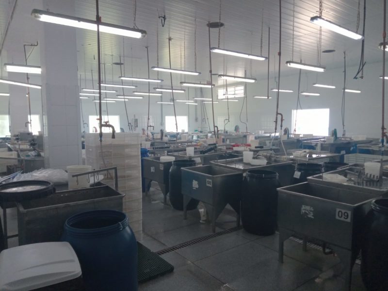 Acidente com produto qu&iacute;mico em empresa de Bra&ccedil;o do Norte leva 24 funcion&aacute;rios ao hospital – Foto: Divulga&ccedil;&atilde;o/ND