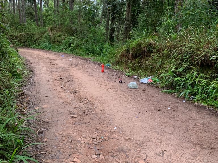 Confus&atilde;o aconteceu em uma &aacute;rea de mata em S&atilde;o Bento do Sul – Foto: Pol&iacute;cia Civil/Divulga&ccedil;&atilde;o/ND