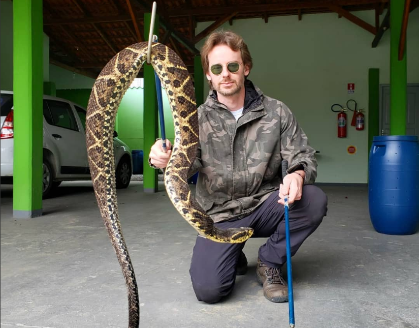 Conheça 6 cobras incríveis encontradas nas matas de Jaraguá do Sul