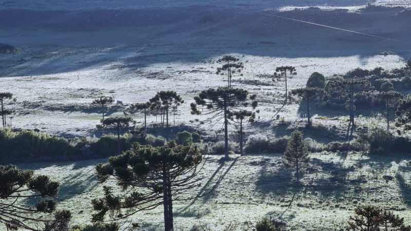 Geada mudou o cen&aacute;rio na Serra Catarinense na manh&atilde; deste s&aacute;bado. – Foto: Mycchel Legnaghi/S&atilde;o Joaquim Online/Divulga&ccedil;&atilde;o/ND