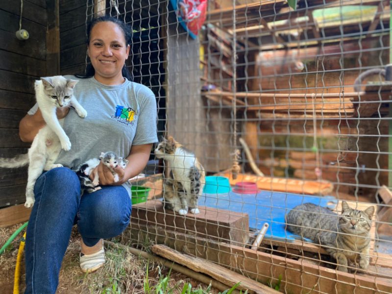 &Acirc;ngela Alves adotou 50 gatos e oito c&atilde;es abandonados &mdash; Foto: Nadia Michaltchuk/ND