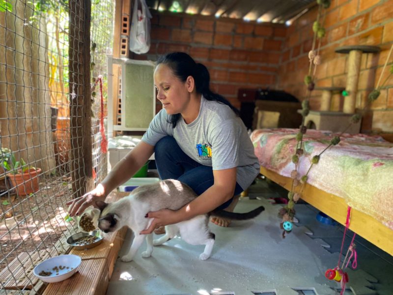 &Acirc;ngela Alves dedica a maior parte de sua vida &agrave; causa animal &mdash; Foto: Nadia Michaltchuk/ND