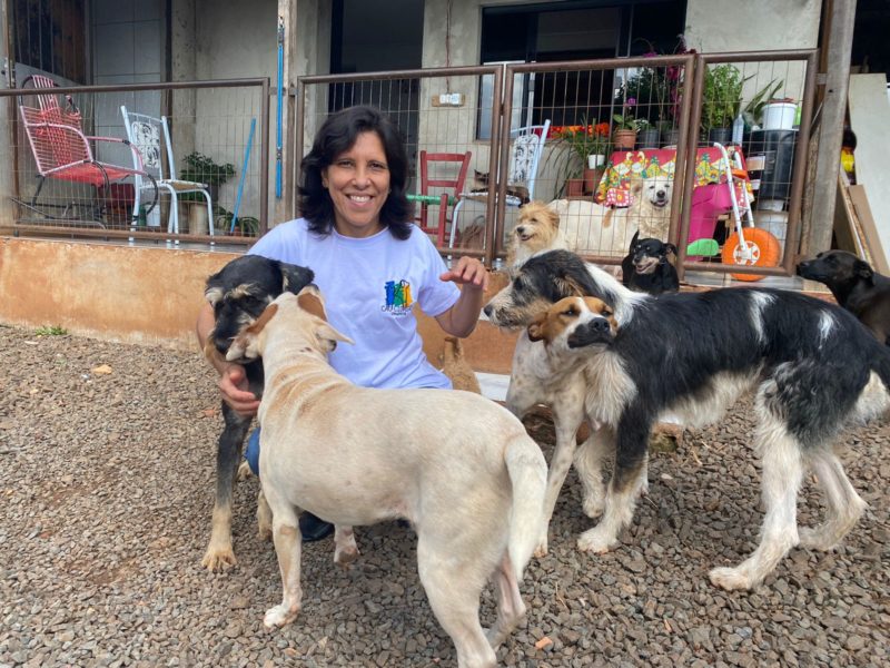 Salete Soares possui 32 c&atilde;es e tr&ecirc;s gatos em casa &mdash; Foto: Nadia Michaltchuk/ND