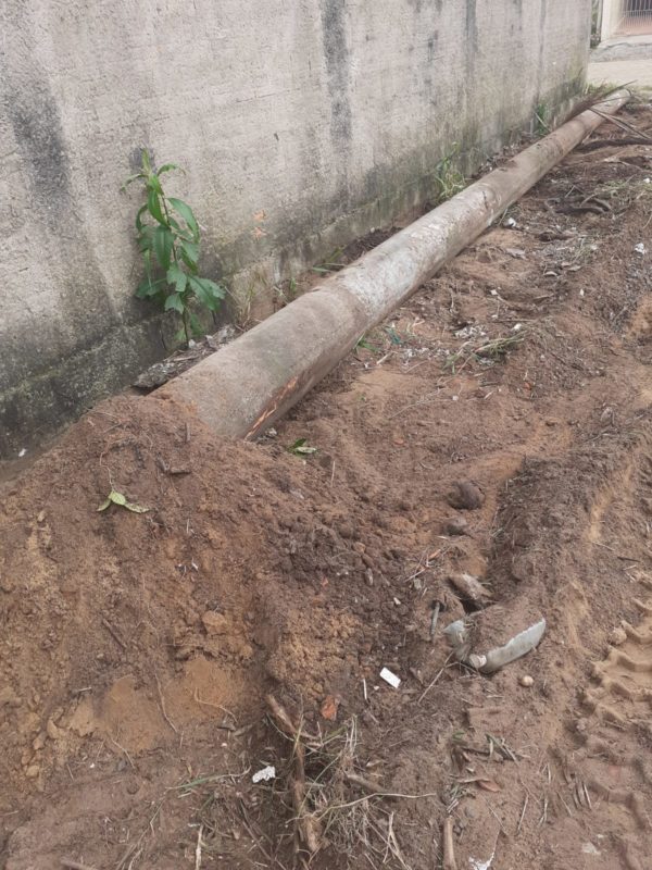 Retroescavadeira derrubou poste onde as abelhas estavam – Foto: Corpo de Bombeiros Militar/Divulga&ccedil;&atilde;o