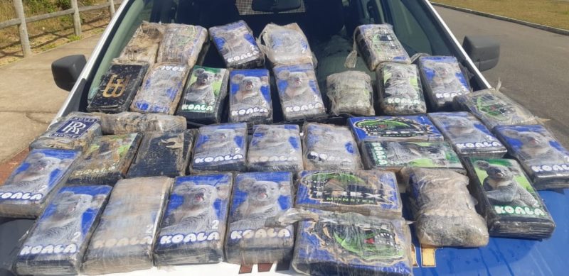 Ao menos 6,5 toneladas de coca&iacute;na foram exportadas pelos criminosos – Foto: PF/Divulga&ccedil;&atilde;o/ND