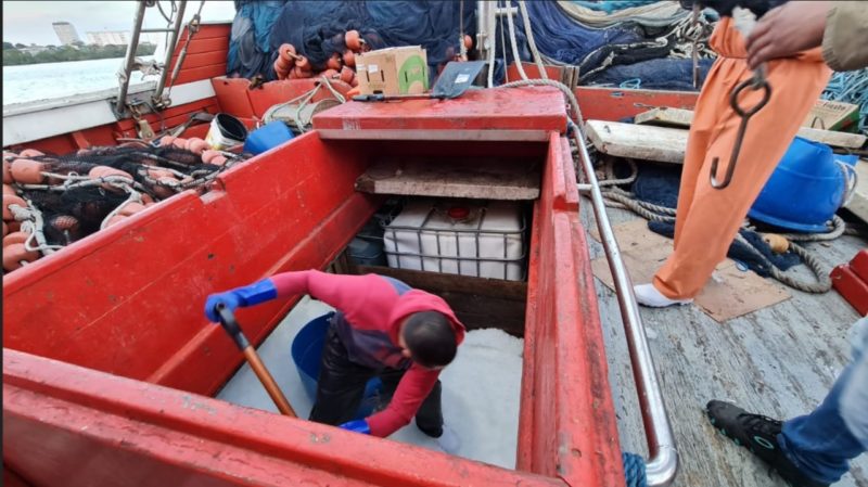 Durante as outras fases da opera&ccedil;&atilde;o, 22 tripulantes de barcos pesqueiros usados para enviar a droga foram presos – Foto: PF/Divulga&ccedil;&atilde;o/ND