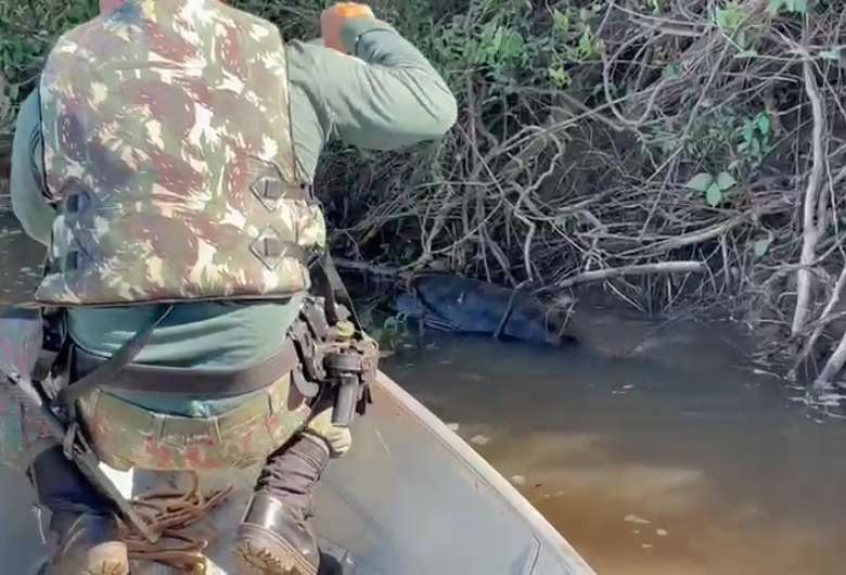 Sucuri ‘come demais’ e fica com a ‘pan&ccedil;a’ enroscada em galho em rio – Foto: Reprodu&ccedil;&atilde;o/ND