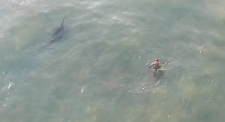 Flagrante mostra tubarão há poucos metros de banhista &#8211; Foto: Reprodução/Vídeo Daily Mail