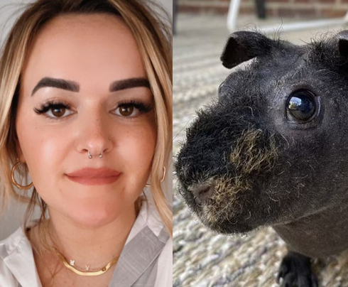 Mulher teve cabelo arrancado por animal de estima&ccedil;&atilde;o – Foto: Internet/Divulga&ccedil;&atilde;o/ND