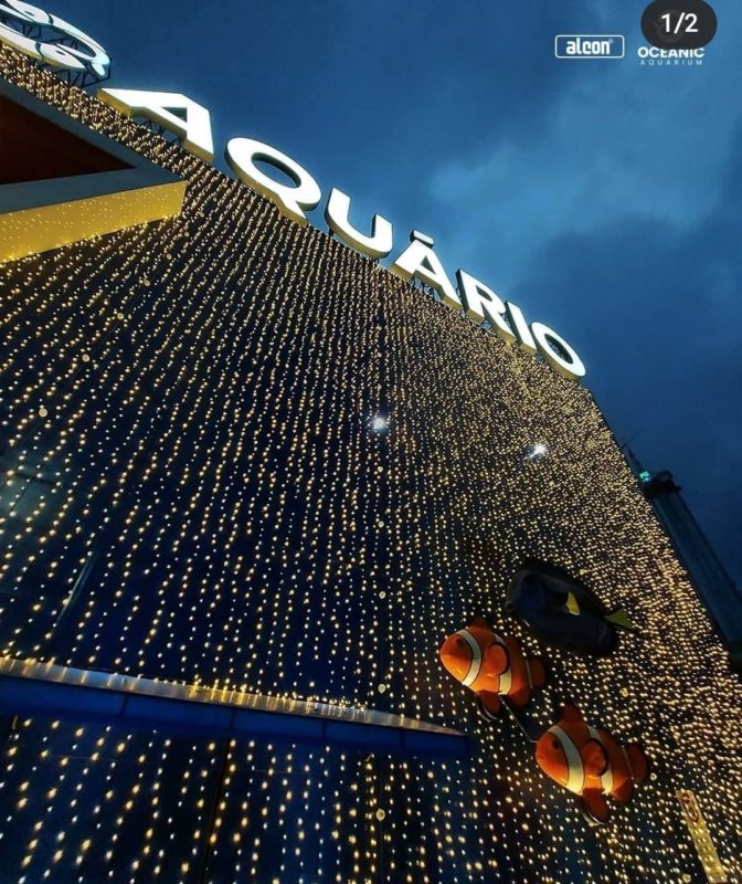 Balne&aacute;rio Cambori&uacute; conta com in&uacute;meros atrativos tur&iacute;sticos que v&atilde;o al&eacute;m da praia – Foto: Reprodu&ccedil;&atilde;o/Internet/Oceanic Aquarium