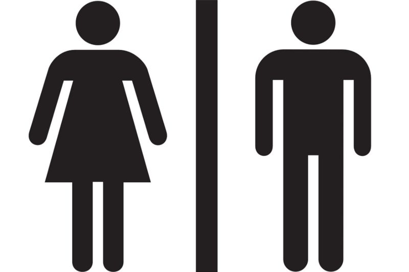 Vereador de Joinville quer proibir banheiro unissex em espa&ccedil;os p&uacute;blicos e privados – Foto: Pixabay