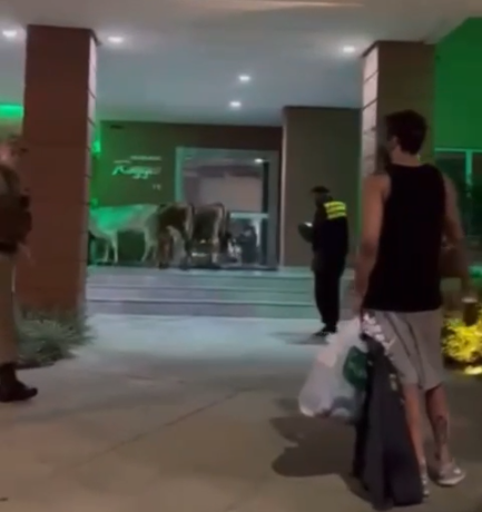 Pol&iacute;cia diz que a situa&ccedil;&atilde;o &eacute; recorrente na regi&atilde;o – Foto: Divulga&ccedil;&atilde;o/ND